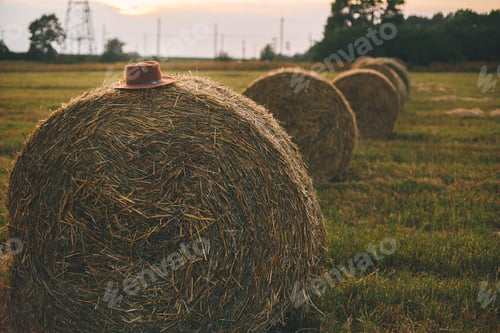 Preview: Hat on haystacks in summer evening field. Harvesting and farming in countryside. Farmers hat on hay
