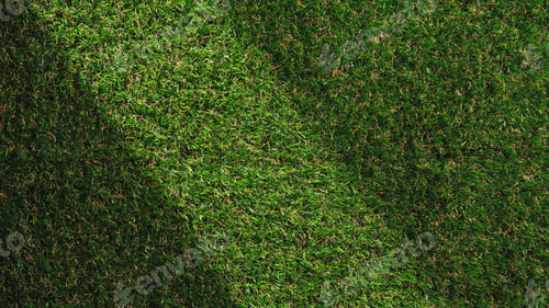 Preview: Grass Texture With A Sunlight Beam