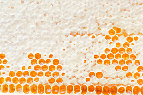 Preview: Honeycombs with honey. Natural background.
