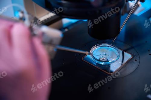 Preview: Micromanipulation of samples under a microscope in office