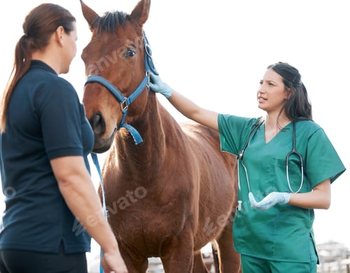 Preview: Shot of an attractive young veterinarian standing with a horse and its owner on a farm