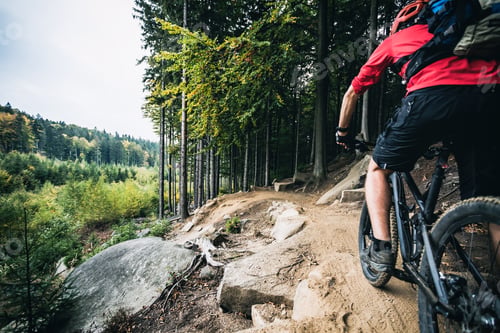 Preview: Mountain biker riding cycling in autumn forest