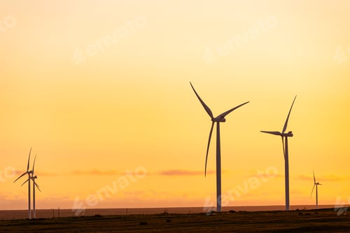 Preview: General view of wind turbines in countryside landscape during sunset