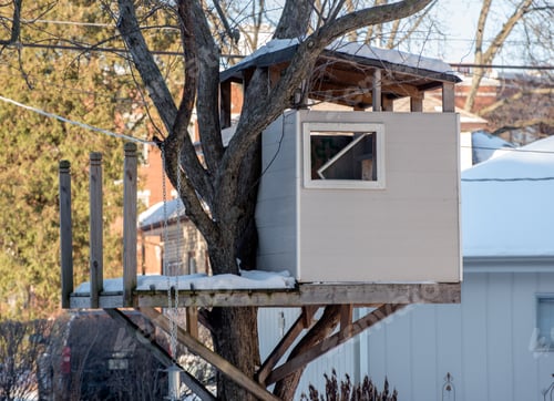 Preview: Tree House