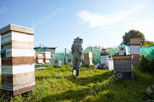 Preview: Women beekeepers working on city allotment