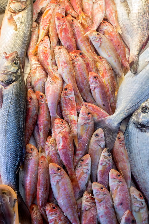 Preview: Raw fish market. Seafood healthy fish market.