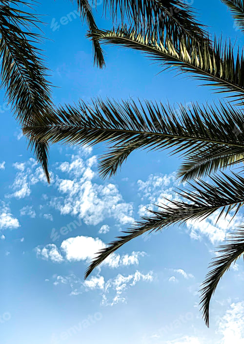 Preview: Looking up