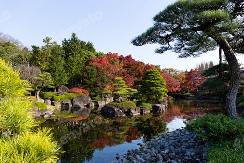 Preview: Japanese garden with autumn