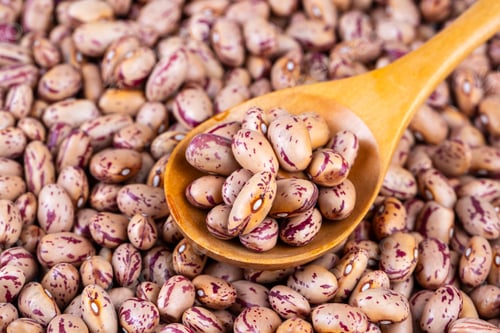 Preview: Raw Organic cranberry bean or roman beans on white background.