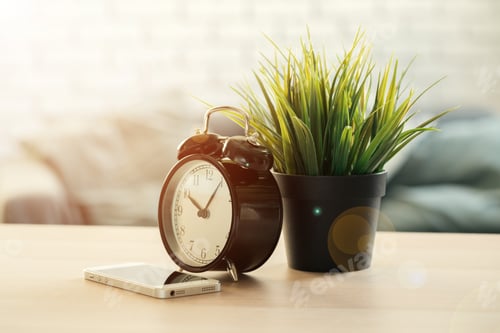 Preview: Old-fashioned alarm clock and house plant on wooden table