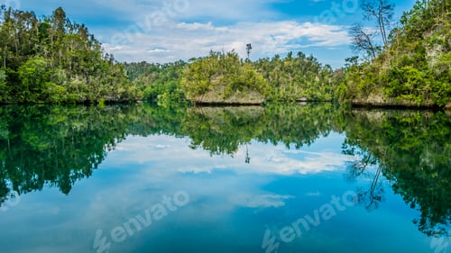 Preview: Rocks overgrown with Palmtrees in Hidden Bay on Gam Island near Kabui and Passage. West Papuan, Raja