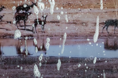 Preview: Background Wet- Raindrop Realistic. Water Splash Shower- Bad Weather. Window- Soap Foam. Rainwater