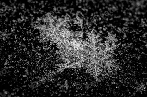 Preview: Snowflakes