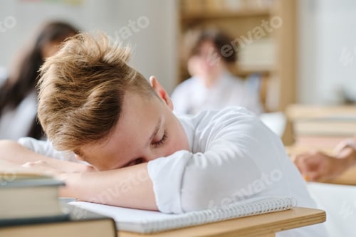 Vista previa: Schoolboy sleeping at desk during lesson