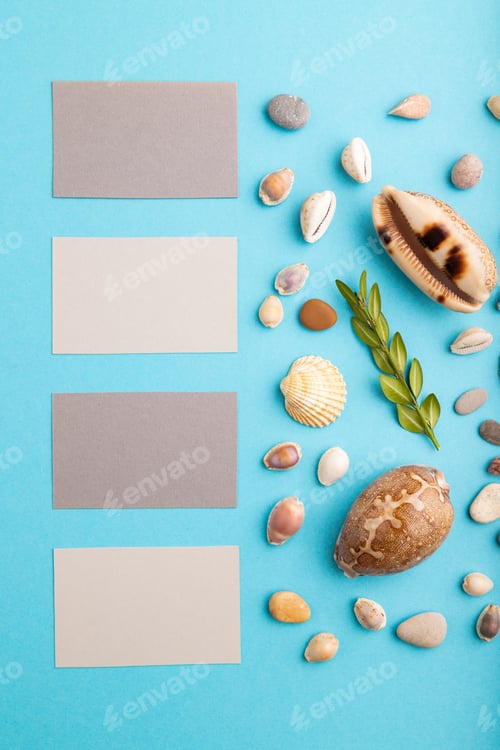 Preview: Composition with gray paper business cards, seashells, green boxwood. mockup on blue pastel