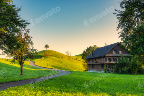Preview: Scenic of peaceful village like a fairy tale with lonely tree on hill and cows grazing