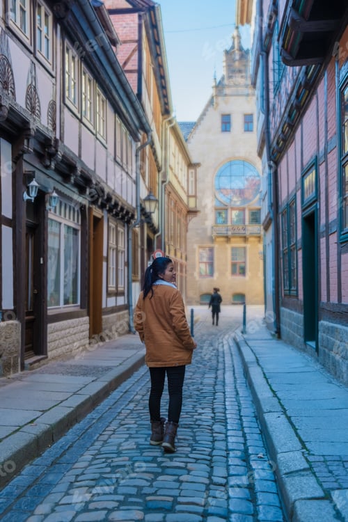 Preview: Quedlinburg Unesco heritage historical town, historical town of Quedlinburg in Harz Germany