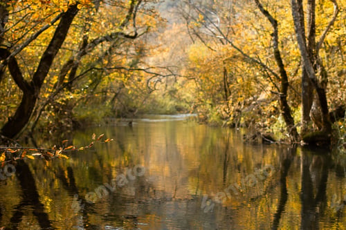 Preview: Autumn background with a lake and yellow trees.