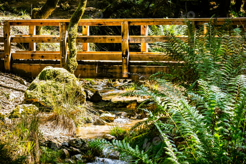 Preview: Wooden bridge over creek