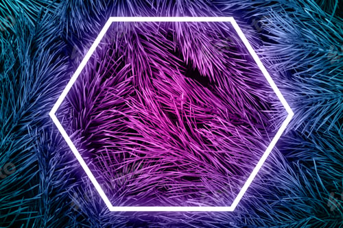 Preview: Natural background from coniferous branches with long needles. Neon color and hexagon luminous frame