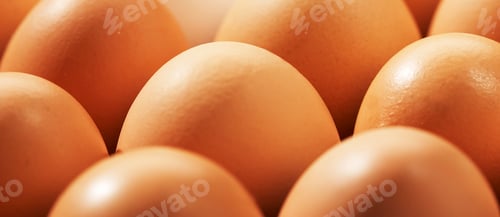 Preview: close up of eggs