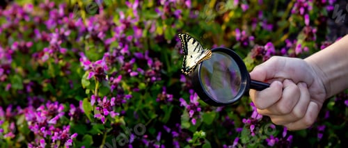 Preview: A child looks through a magnifying glass. A big child's eye.