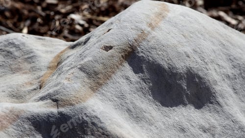 Preview: Detail And Texture Of A Large Rock - Close Up Photograph Showing Details And Textures Of A Large
