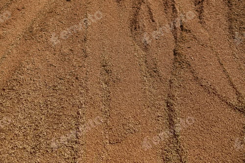 Preview: Uncleaned unsorted grain with debris after being harvested by a combine.