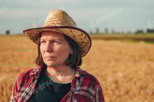 Preview: Portrait of female farmer standing in ripe wheat field and thinking. Agriculture and farming concept