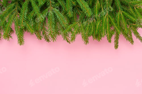 Preview: Pine Branches on Pink Background for Holiday Season