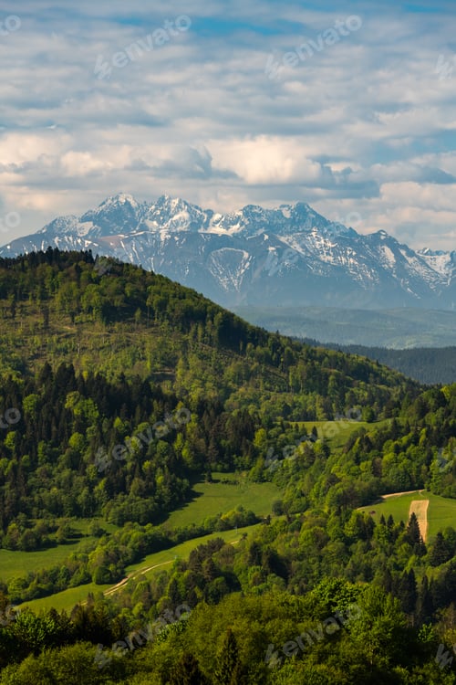 Preview: Green hills of Pieniny National Park and snowy Tatra Mountains in background in Poland