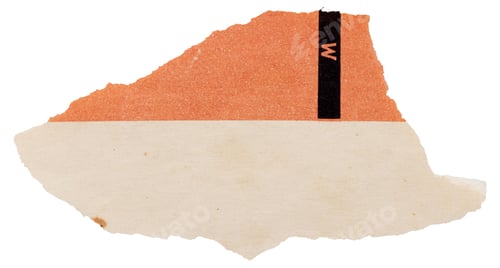 Preview: Tear piece of old vintage book cover, isolated scrap of orange and beige paper, element for design