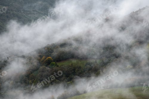 Preview: Grass meadows surrounded by deciduous forest between mists