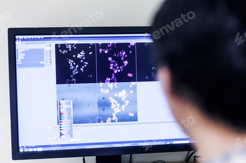 Preview: Cropped image of scientist using desktop PC in lab