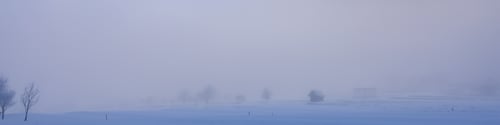 Preview: Linkedin banner with a lifeless foggy winter landscape