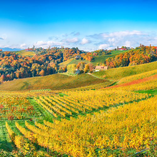 Preview: Stunning vineyards landscape in South Styria near Gamlitz.