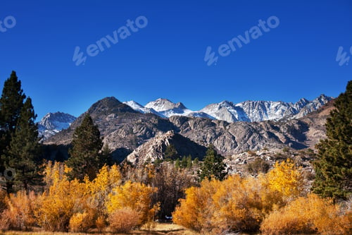 Preview: Autumn in Sierra Nevada