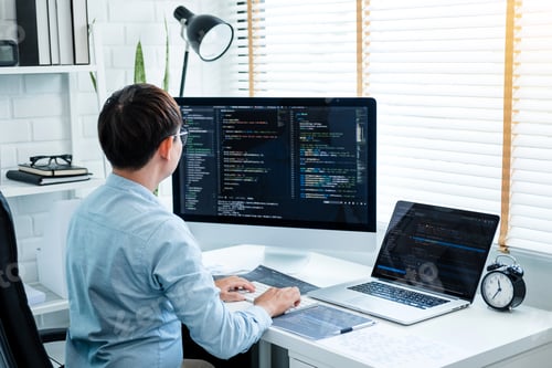 Preview: Developing programmer Development Website
