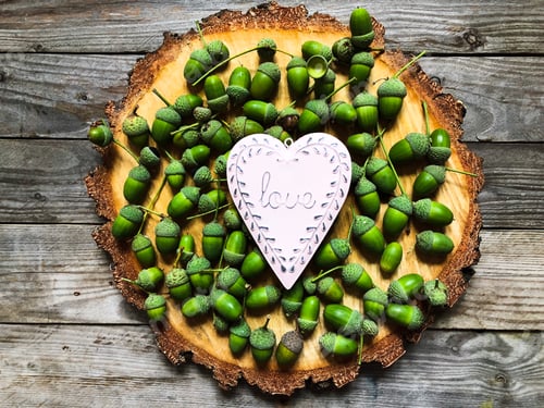 Preview: Love nature