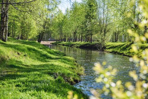 Preview: beautiful river in the city in summer