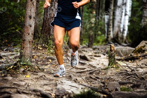 Preview: Running Marathon Runner in Forest