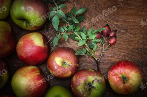 Preview: apples in bulk and a sprig with rose hips
