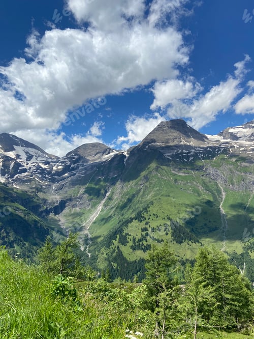 Preview: Trees on high mountains