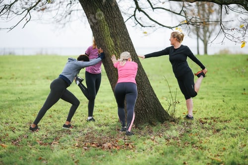Preview: Women and teenager doing warm up exercises around park tree