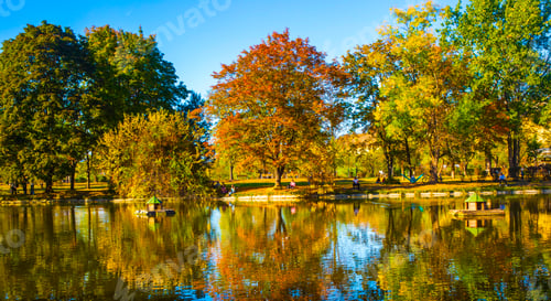 Preview: Macedonia - Skopje, October 29, 2023, Skopje city park with yellowed leaves on the trees in autumn