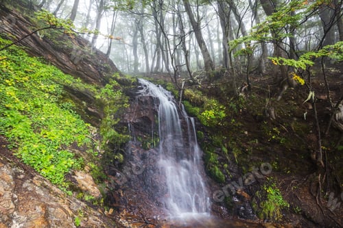 Preview: Waterfall in the forest