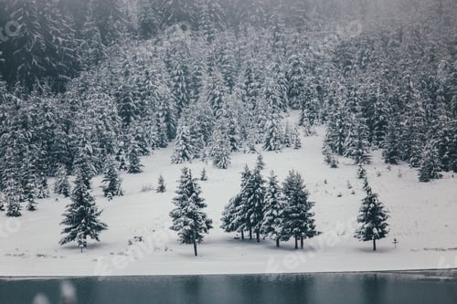 Preview: Winter postcard.