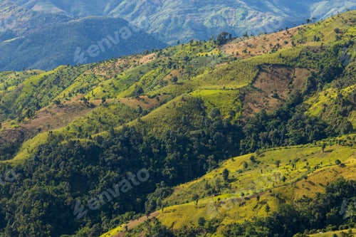 Preview: Aerial top view forest tree, Rainforest ecosystem and healthy environment concept and background