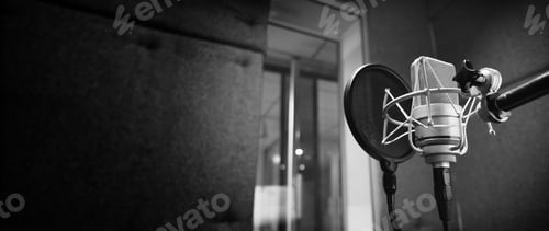 Preview: Studio microphone with shock mount and pop filter