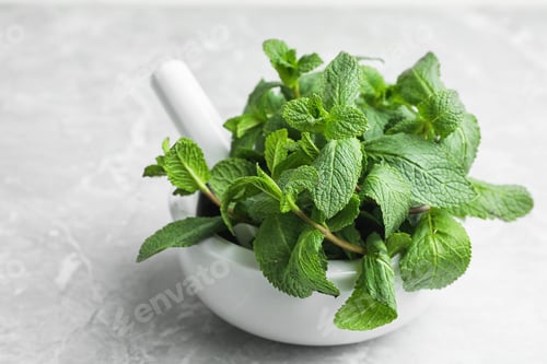 Preview: Mortar with fresh green mint and pestle on table